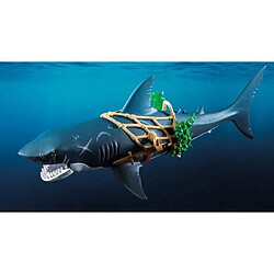 Avis Playmobil® Playmobil 71793 Pirate et requin géant