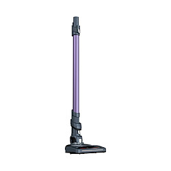 Avis Rowenta RH6822WO - Violet