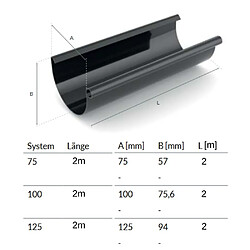 boni-shop Gouttière Système 75 - Graphite - 2 m