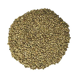 Klasebo Graines de chanvre 10 kg