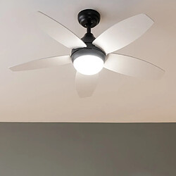 Cecotec Aero 4200 Black & LightWood