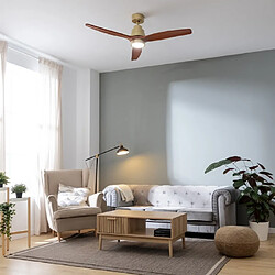 Acheter Cecotec EnergySilence Aero 5295 - Marron