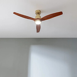 Avis Cecotec EnergySilence Aero 5295 - Marron