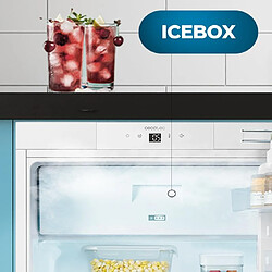 Acheter Cecotec Bolero CoolMarket TT BI 121 E