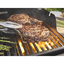 Weber Spirit E-335 pas cher