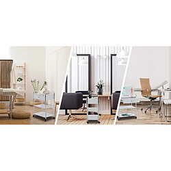 Decoshop26 Chariot de rangement sur roulettes - Blanc