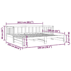 vidaXL Lit de jour et lit gigogne sans matelas 80x200 cm bois massif pas cher