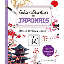 Cahier d'écriture en japonais : Effacez et recommencez !