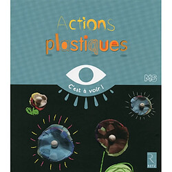 Actions plastiques : MS