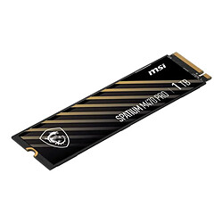 Avis Msi Spatium M470 Pro 1Go M.2