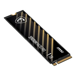 Acheter Msi Spatium M470 Pro 1Go M.2