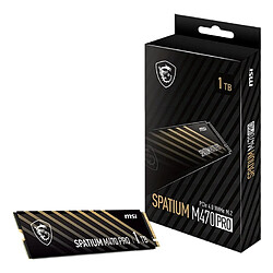 Msi Spatium M470 Pro 1Go M.2 pas cher