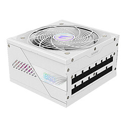 Acheter Gigabyte AORUS ELITE P850W ICE 850W