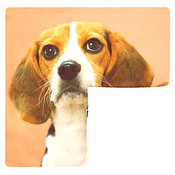 Acheter AVIZAR - Chien Beagle