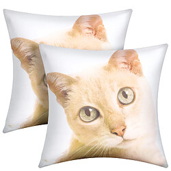 AVIZAR Lot de 2 Housses de Coussin 40x40 cm Motif Chat