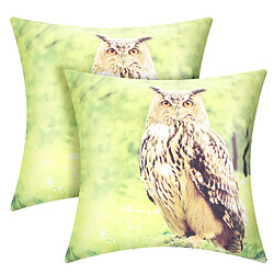 AVIZAR Housses de Coussin - Motif Hibou 40x40 cm
