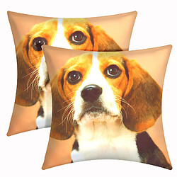 AVIZAR - Chien Beagle