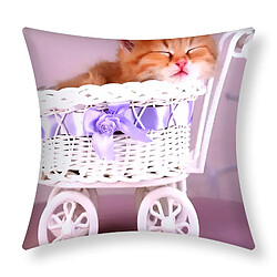 Lot de 2 Housses de Coussin AVIZAR - Motif Chaton Panier