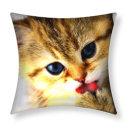 Avizar Lot de 2 housses coussin - Motif Chaton-40x40cm