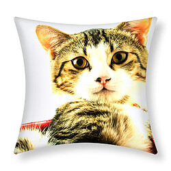 Avizar - Lot de 2 Housses de Coussin - Chat