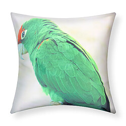 AVIZAR Housses de Coussin - Motif Ara Vert