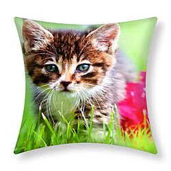 AVIZAR Lot 2 Housses Coussin Chaton Jardin