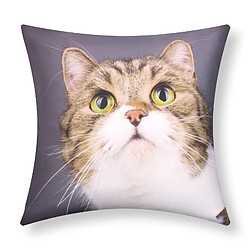 Housse de canapé, chaise, fauteuil & coussin Avizar