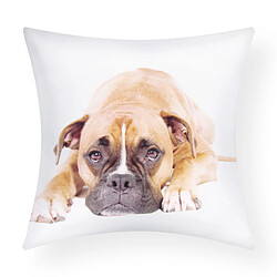 Avizar Lot de 2 Housses de Coussin Motif Chien Boxer