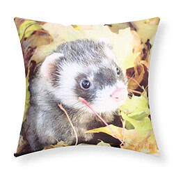 Avizar Lot de 2 Housses de Coussin 40x40 cm - Motif Furet