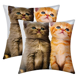 AVIZAR Housses de Coussin - Motif Deux Chatons