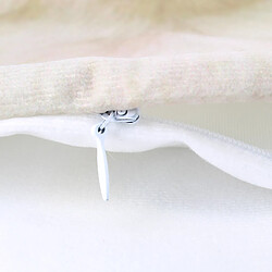 AVIZAR - Chien Beagle pas cher