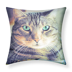 Lot de 2 Housses de Coussin AVIZAR - Motif Chat Shorthair