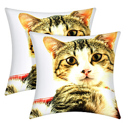 Avizar - Lot de 2 Housses de Coussin - Chat
