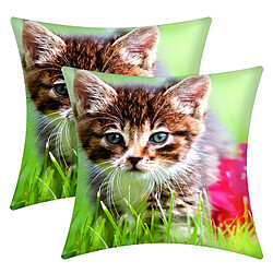 AVIZAR Lot 2 Housses Coussin Chaton Jardin