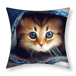 Avizar Lot de 2 Housses de Coussin Motif Chaton Jeans 40x40 cm