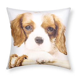 AVIZAR Lot 2 Housses Coussin Chien King Charles