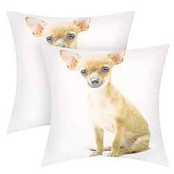 AVIZAR Housses de coussin 40x40 cm Chihuahua