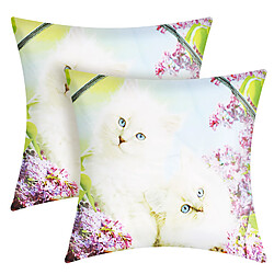 Avizar Housses Motif Chat Blanc