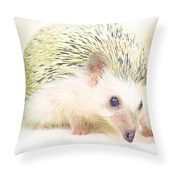 Avizar Lot de 2 Housses de Coussin Motif Hérisson 40x40 cm