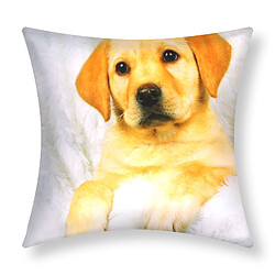 AVIZAR Lot de 2 Housses de Coussin - Motif Chien Fourrure