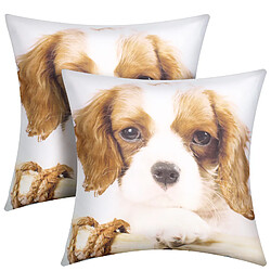 AVIZAR Lot 2 Housses Coussin Chien King Charles