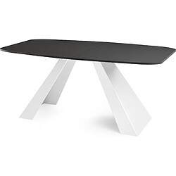 WFL GROUP Table extensible Monte