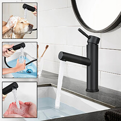 Acheter Robinet de lavabo extensible noir avec douchette - Mitigeur monocommande en acier inoxydable ZMH