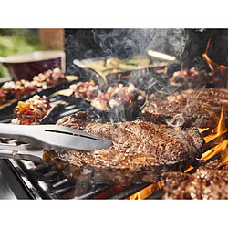 Weber Genesis E-415 pas cher
