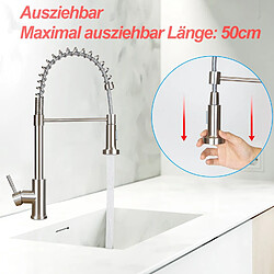 Acheter Robinet de Cuisine Noir ZMH avec Douche Extractible et Pivotante - Design Unique pour Cuisine et Salle de Bains