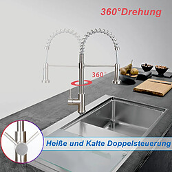 Avis Robinet de Cuisine Noir ZMH avec Douche Extractible et Pivotante - Design Unique pour Cuisine et Salle de Bains