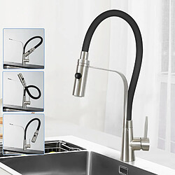 Robinet de Cuisine Noir avec Douchette Pivotante 360° - ZMH