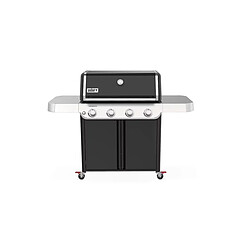 Avis Weber Genesis E-415