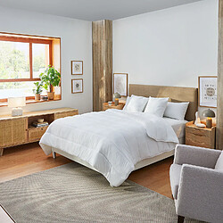 PIKOLIN Couette Nordique avec Aloe Vera - Fibre de 300g - Automne - 220x220 cm - Lit 140 Couette en fibre d'Aloe Vera 300 gr pour l'automne/hiver