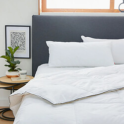 Acheter PIKOLIN Couette Nordique Premium - 220gr - 96% Duvet - Hiver - 220x220cm-Lit 140